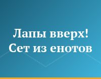 Лапы вверх! Сет из енотов