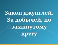 Закон джунглей. За добычей, по замкнутому кругу