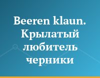 Beeren klaun. Крылатый любитель черники