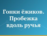 Гонки ёжиков. Пробежка вдоль ручья
