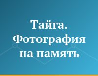 Тайга. Фотография на память