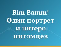 Bim Bamm! Один портрет и пятеро питомцев