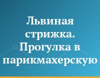 Львиная стрижка. Прогулка в парикмахерскую