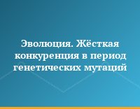 Эволюция. Жёсткая конкуренция в период генетических мутаций