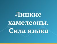 Липкие хамелеоны. Сила языка