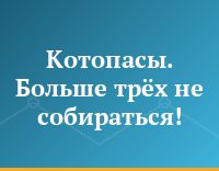 Котопасы. Больше трёх не собираться!