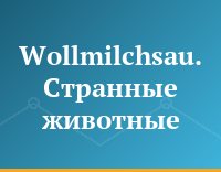 Wollmilchsau. Странные животные