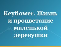 Keyflower. Жизнь и процветание маленькой деревушки