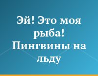 Эй! Это моя рыба! Пингвины на льду