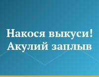 Накося выкуси! Акулий заплыв