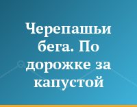 Черепашьи бега. По дорожке за капустой