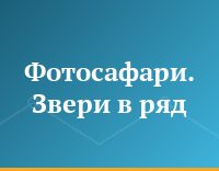 Фотосафари. Звери в ряд