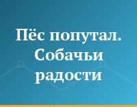 Пёс попутал. Собачьи радости