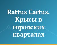 Rattus Cartus.  Крысы в городских кварталах