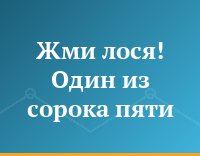 Жми лося! Один из сорока пяти