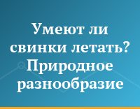 Умеют ли свинки летать? Природное разнообразие
