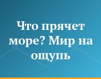 Что прячет море? Мир на ощупь