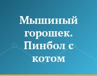 Мышиный горошек. Пинбол с котом