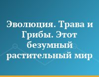 Эволюция. Трава и Грибы. Этот безумный растительный мир