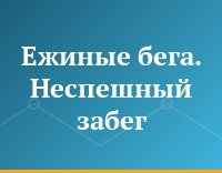 Ежиные бега. Неспешный забег