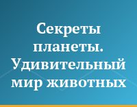 Секреты планеты. Удивительный мир животных