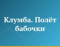 Клумба. Полёт бабочки
