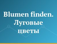 Blumen finden. Луговые цветы