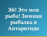 Эй! Это моя рыба! Зимняя рыбалка в Антарктиде