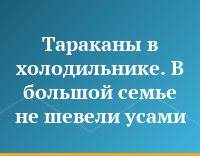 Тараканы в холодильнике. В большой семье не шевели усами